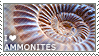 A stamp that says 'i love ammonites' with an image of an ammonite (fossilised shell creature
